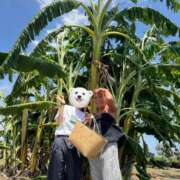 ヒメ日記 2025/08/06 18:27 投稿 星崎 あゆ NH TOKYO娘。