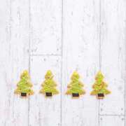 ヒメ日記 2024/12/25 10:15 投稿 ましろ コレクション