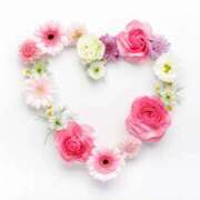 ヒメ日記 2024/12/30 14:59 投稿 ましろ コレクション