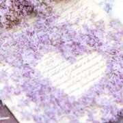 ヒメ日記 2025/02/21 23:54 投稿 ましろ コレクション