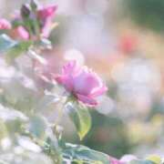 ヒメ日記 2025/02/28 18:58 投稿 ましろ コレクション