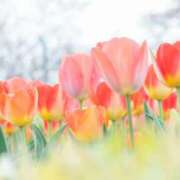 ヒメ日記 2025/03/07 23:54 投稿 ましろ コレクション