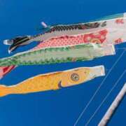 ヒメ日記 2025/04/28 11:29 投稿 ましろ コレクション