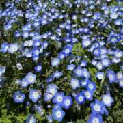 ヒメ日記 2025/05/08 00:09 投稿 ましろ コレクション