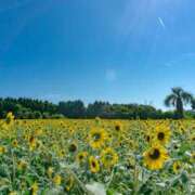 ヒメ日記 2025/07/09 23:35 投稿 ましろ コレクション