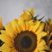 ヒメ日記 2025/08/08 11:51 投稿 ましろ コレクション