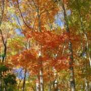 ヒメ日記 2025/09/23 00:28 投稿 ましろ コレクション