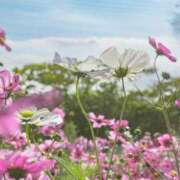 ヒメ日記 2025/10/05 10:10 投稿 ましろ コレクション