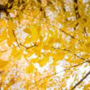 ヒメ日記 2025/11/18 23:22 投稿 ましろ コレクション