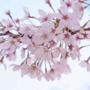 ましろ 昨日も コレクション