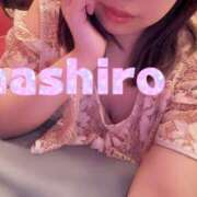 ましろ しゅっきんしてるよー コレクション