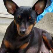 ヒメ日記 2025/05/31 08:18 投稿 土屋　あきな ギン妻パラダイス 谷九店