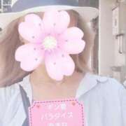 ヒメ日記 2025/07/04 13:40 投稿 土屋　あきな ギン妻パラダイス 谷九店