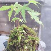 ヒメ日記 2025/08/01 16:12 投稿 土屋　あきな ギン妻パラダイス 谷九店