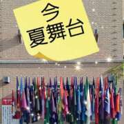 ヒメ日記 2025/08/08 13:48 投稿 土屋　あきな ギン妻パラダイス 谷九店