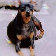 ヒメ日記 2025/08/25 09:30 投稿 土屋　あきな ギン妻パラダイス 谷九店