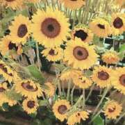 ヒメ日記 2025/08/29 08:15 投稿 土屋　あきな ギン妻パラダイス 谷九店