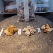 ヒメ日記 2025/09/15 09:35 投稿 土屋　あきな ギン妻パラダイス 谷九店