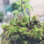 ヒメ日記 2025/11/21 21:03 投稿 土屋　あきな ギン妻パラダイス 谷九店