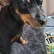 ヒメ日記 2026/01/12 08:15 投稿 土屋　あきな ギン妻パラダイス 谷九店