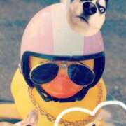 ヒメ日記 2026/02/03 13:34 投稿 土屋　あきな ギン妻パラダイス 谷九店