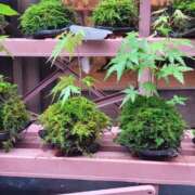 ヒメ日記 2026/02/10 08:28 投稿 土屋　あきな ギン妻パラダイス 谷九店