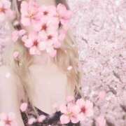 ヒメ日記 2026/03/24 10:31 投稿 土屋　あきな ギン妻パラダイス 谷九店