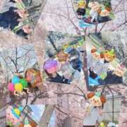 ヒメ日記 2026/04/04 10:28 投稿 土屋　あきな ギン妻パラダイス 谷九店