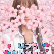 ヒメ日記 2026/04/11 12:17 投稿 土屋　あきな ギン妻パラダイス 谷九店