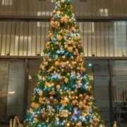 ヒメ日記 2024/12/23 18:38 投稿 大谷　はな ギン妻パラダイス 谷九店