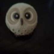 ヒメ日記 2025/06/22 10:32 投稿 大谷　はな ギン妻パラダイス 谷九店