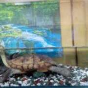 ヒメ日記 2025/08/30 17:55 投稿 大谷　はな ギン妻パラダイス 谷九店