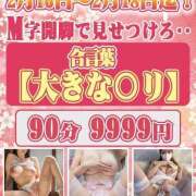 ヒメ日記 2026/02/16 14:36 投稿 小渕 ともこ ギン妻パラダイス 谷九店