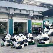 ヒメ日記 2025/04/08 08:32 投稿 えり 赤坂美療