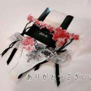 ヒメ日記 2025/04/25 18:09 投稿 えり 赤坂美療