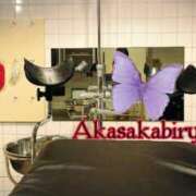 ヒメ日記 2025/05/21 06:53 投稿 えり 赤坂美療