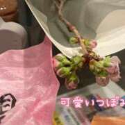 ヒメ日記 2026/04/08 02:25 投稿 えり 赤坂美療