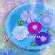 ヒメ日記 2026/07/08 21:19 投稿 えり 赤坂美療