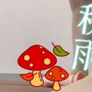 ヒメ日記 2026/10/09 14:54 投稿 えり 赤坂美療