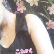 ヒメ日記 2025/03/24 12:36 投稿 かのん 木更津人妻花壇