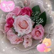 ヒメ日記 2025/04/29 16:45 投稿 かのん 木更津人妻花壇