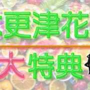 ヒメ日記 2025/08/04 14:49 投稿 かのん 木更津人妻花壇