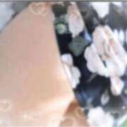 ヒメ日記 2025/08/11 14:33 投稿 かのん 木更津人妻花壇