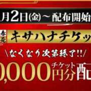 ヒメ日記 2026/01/03 12:31 投稿 かのん 木更津人妻花壇