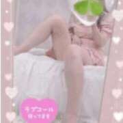 ヒメ日記 2026/02/11 11:35 投稿 かのん 木更津人妻花壇