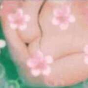 ヒメ日記 2026/04/27 12:37 投稿 かのん 木更津人妻花壇
