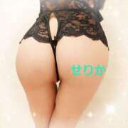 ヒメ日記 2025/07/20 08:37 投稿 セリカ　GOLD 煌き -KIRAMEKI-（煌きグループ）