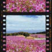 ヒメ日記 2025/01/18 19:28 投稿 れい EIGHT（エイト）～8つのお約束と無限の可能性～