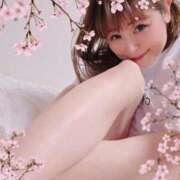 ヒメ日記 2025/03/15 19:21 投稿 れい EIGHT（エイト）～8つのお約束と無限の可能性～