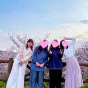 ヒメ日記 2025/04/09 00:43 投稿 れい EIGHT（エイト）～8つのお約束と無限の可能性～